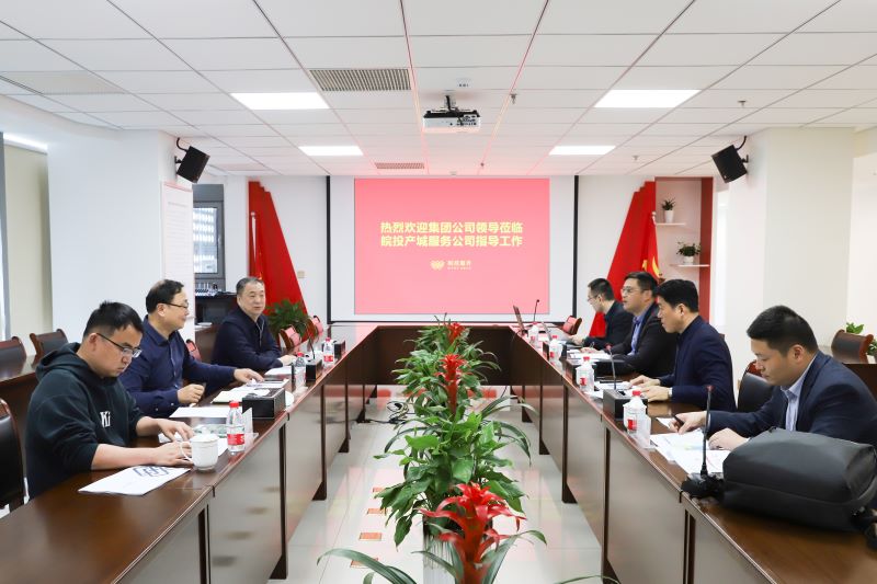 集團公司副總經(jīng)理胡浩赴皖投置業(yè)公司調(diào)研指導