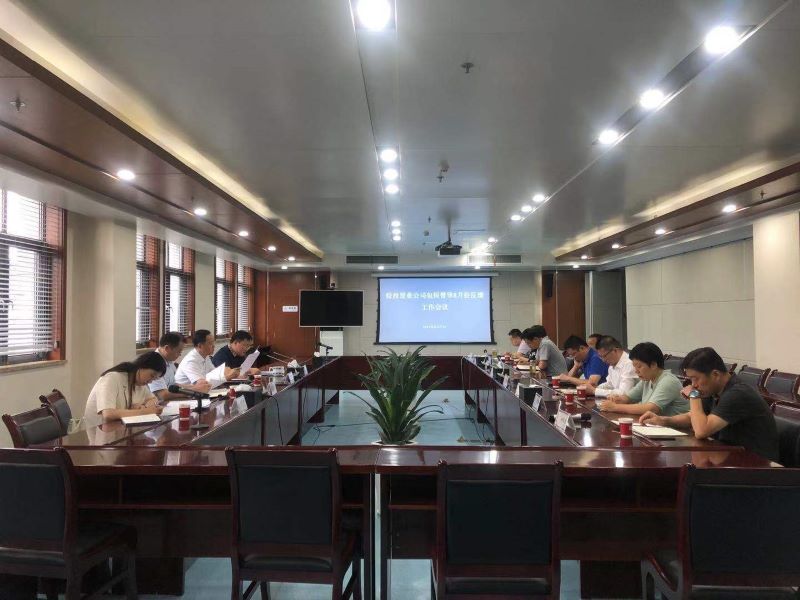 集團(tuán)公司第七包保督導(dǎo)組赴皖投置業(yè)公司開(kāi)展現(xiàn)場(chǎng)督導(dǎo)