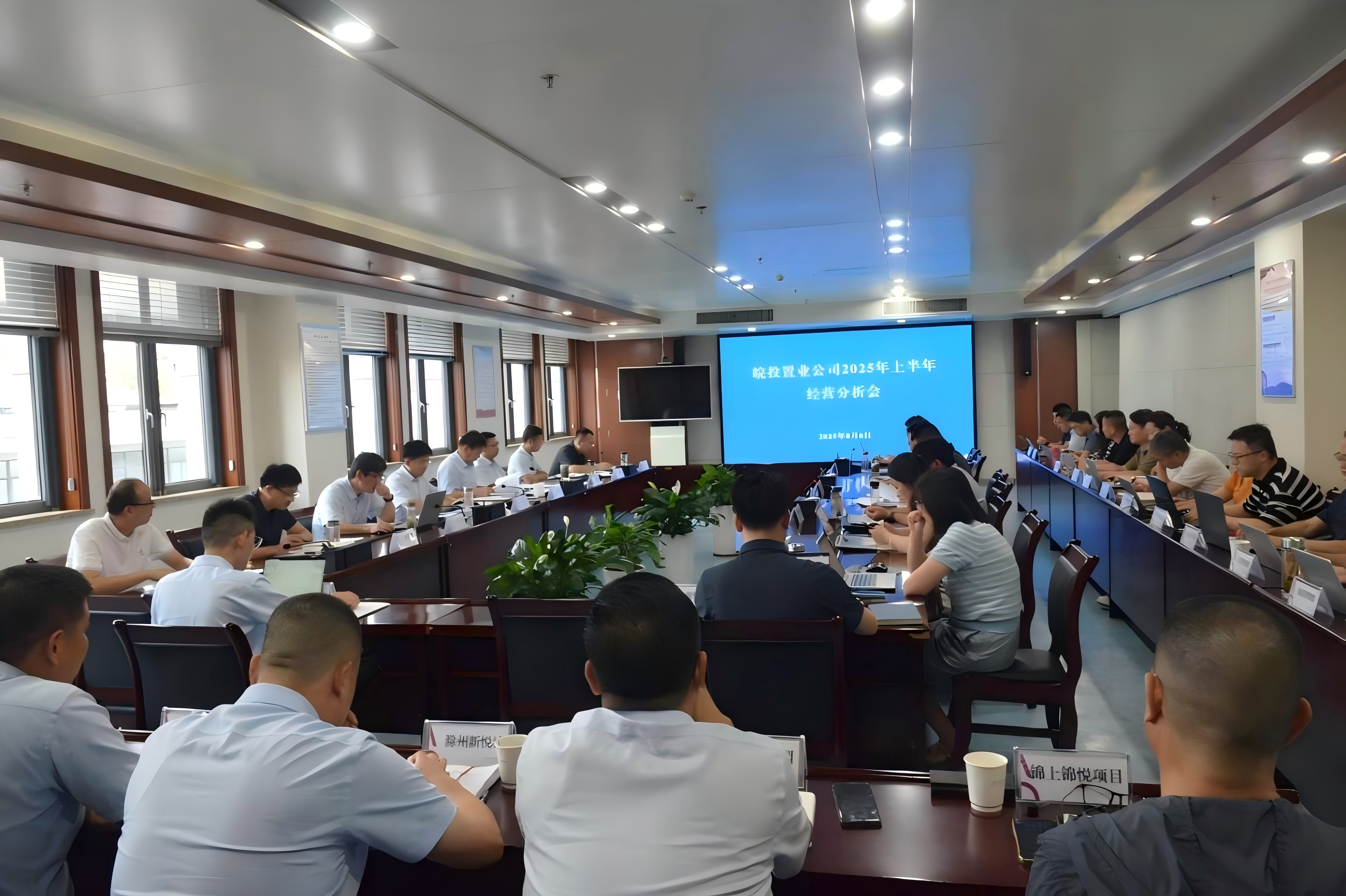 皖投置業(yè)公司召開(kāi)2025年上半年經(jīng)營(yíng)工作會(huì)議